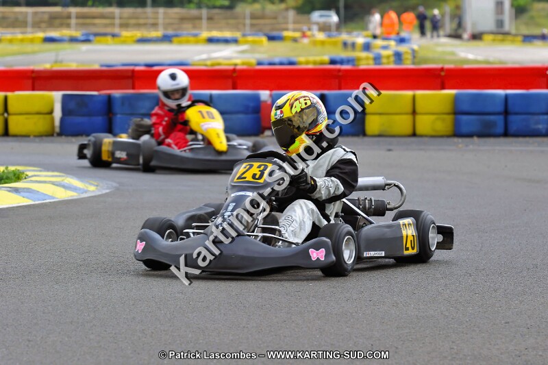 DSC_ (1406).jpg